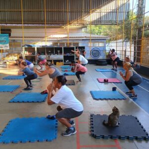 ginastica-localizada